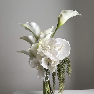 Calla Trắng Thanh Lịch