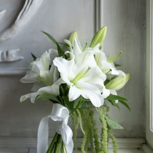 Lily Serenity