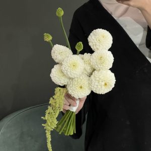 White Pom Elegance