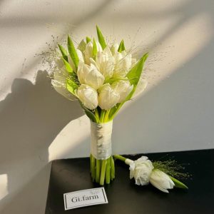 White Tulip Grace